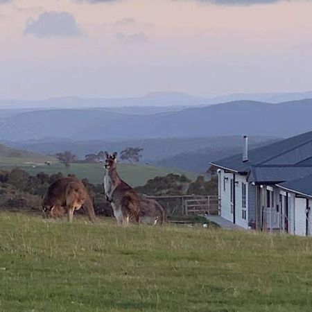 Bed and Breakfast Rooks Edge Gisborne Exterior foto