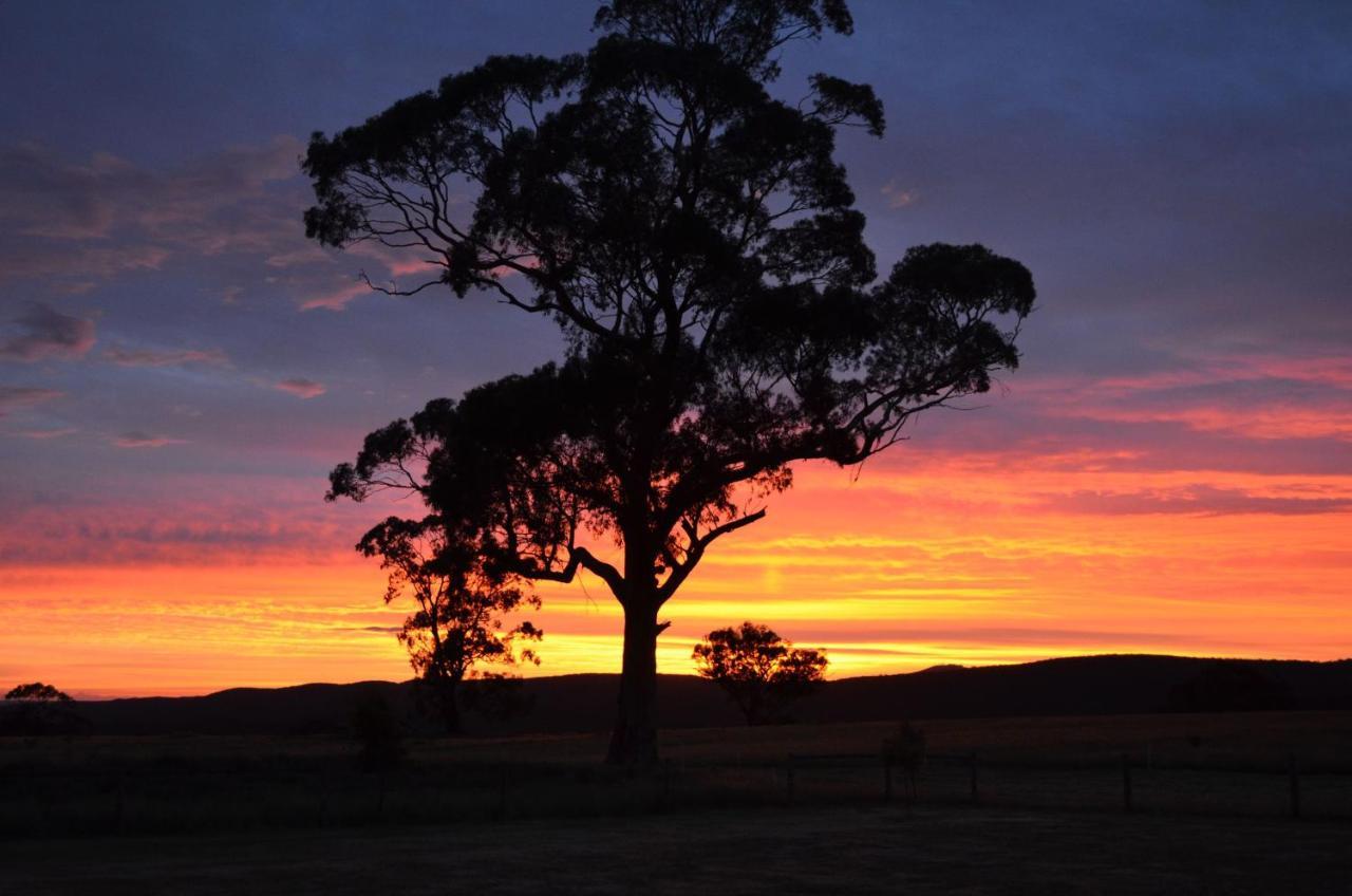 Bed and Breakfast Rooks Edge Gisborne Exterior foto