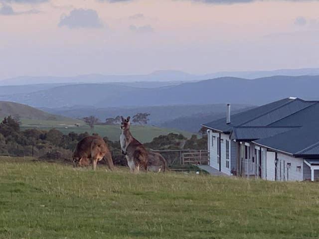 Bed and Breakfast Rooks Edge Gisborne Exterior foto